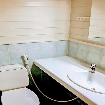 Salmelan Kartano P 7 B By Interhome 別荘